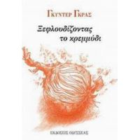 Ξεφλουδίζοντας Το Κρεμμύδι - Γκύντερ Γκρας