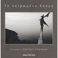 Το Πετρωμένο Δάσος