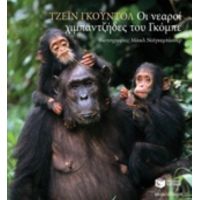 Οι Νεαροί Χιμπαντζήδες Του Γκόμπε - Τζέιν Γκούντολ