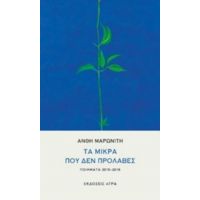 Τα Μικρά Που Δεν Πρόλαβες - Ανθή Μαρωνίτη