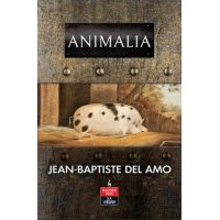 Animalia