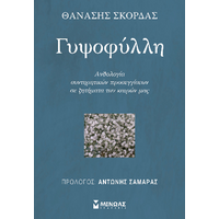 Γυψοφύλλη