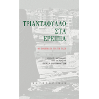 Τριαντάφυλλο στα ερείπια