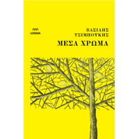 Μέσα Χρώμα