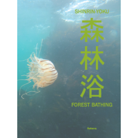 Shinrin-yoku - Forest bathing