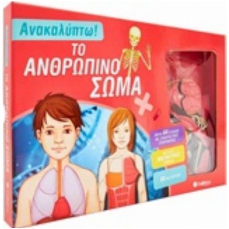 Το Ανθρώπινο Σώμα