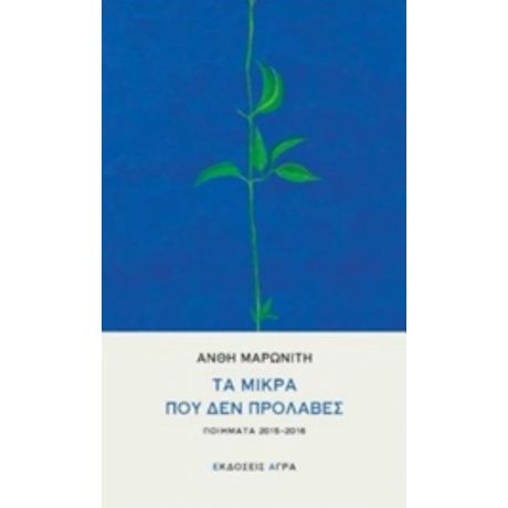 Τα Μικρά Που Δεν Πρόλαβες - Ανθή Μαρωνίτη