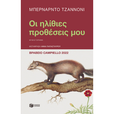 Οι ηλίθιες προθέσεις μου
