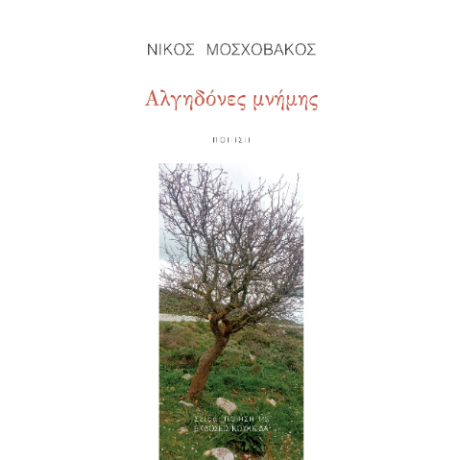 Αλγηδόνες μνήμης