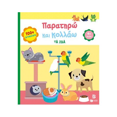 Παρατηρώ και κολλάω: