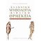 Ελληνική Μυθολογία Και Βιβλική Θρησκεία - Ρήγας Καππάτος