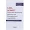 Carl Schmitt. Πολιτική θεολογία, κράτος και δημοκρατικό παράδοξο