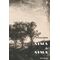 Αίμα & αίμα
