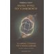 Μαύρες Τρύπες Που Εξαχνώνονται. Το Χαμένο Στοίχημα Του Stephen Hawking - Monica Colpi